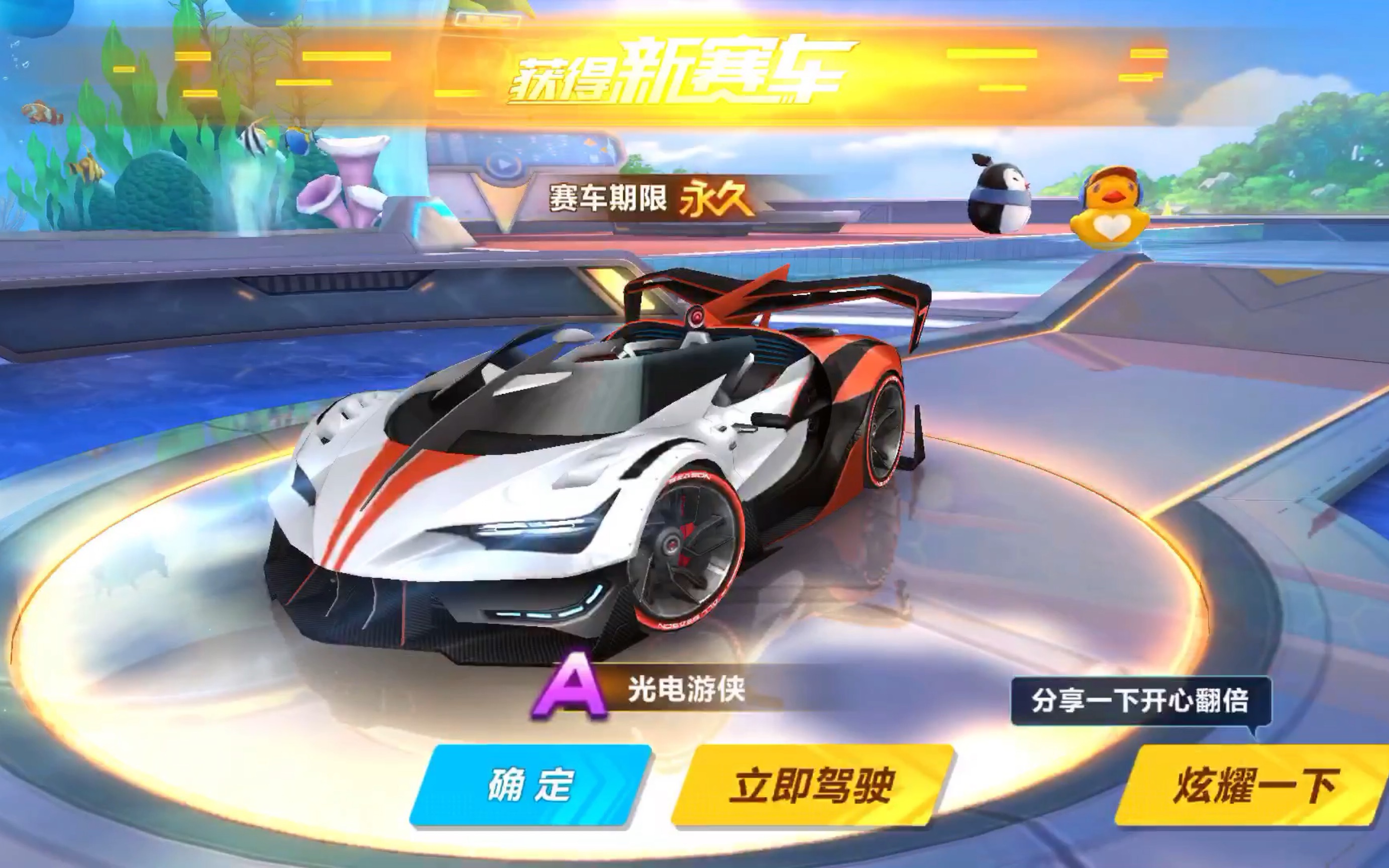 体育比赛结果全面解析